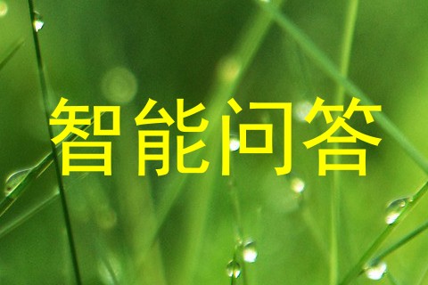 智能问答
