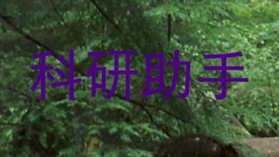 科研助手
