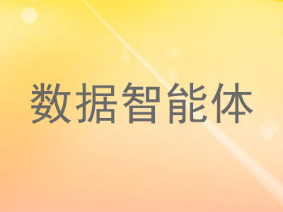 数据智能体
