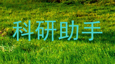 科研助手