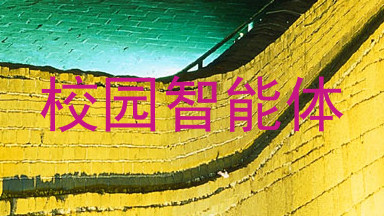 校园智能体