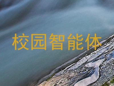 校园智能体