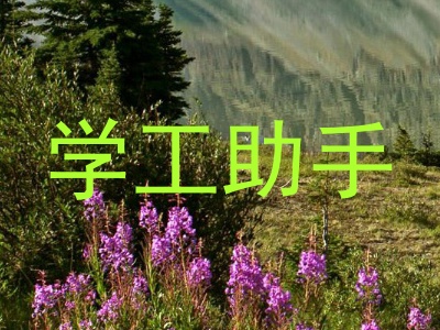 学工助手