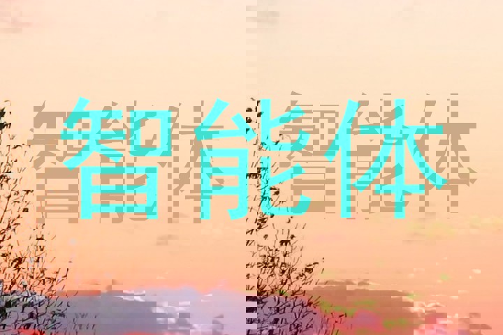 校园智能体系统