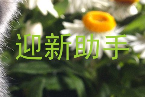 迎新助手