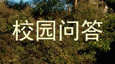 校园问答