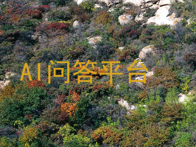 AI问答平台