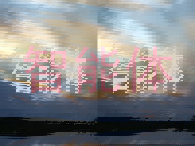 校园智能体系统