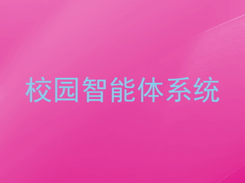 校园智能体系统