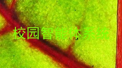 校园智能体系统