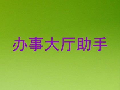 办事大厅助手