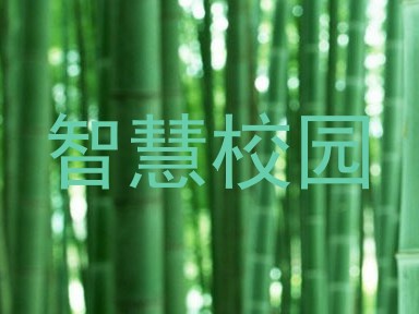 智慧校园