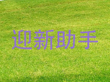 迎新助手