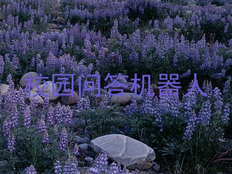 校园问答机器人