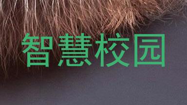 智慧校园