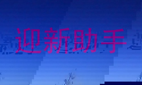 迎新助手