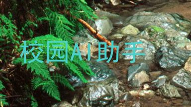 校园AI助手