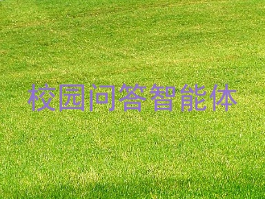 校园问答智能体