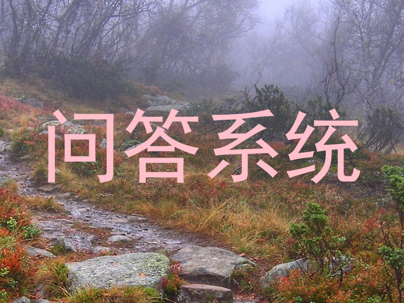 问答系统