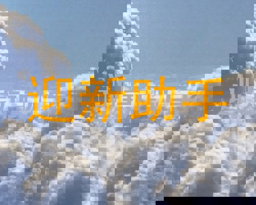 迎新助手