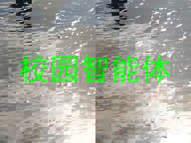 校园智能体