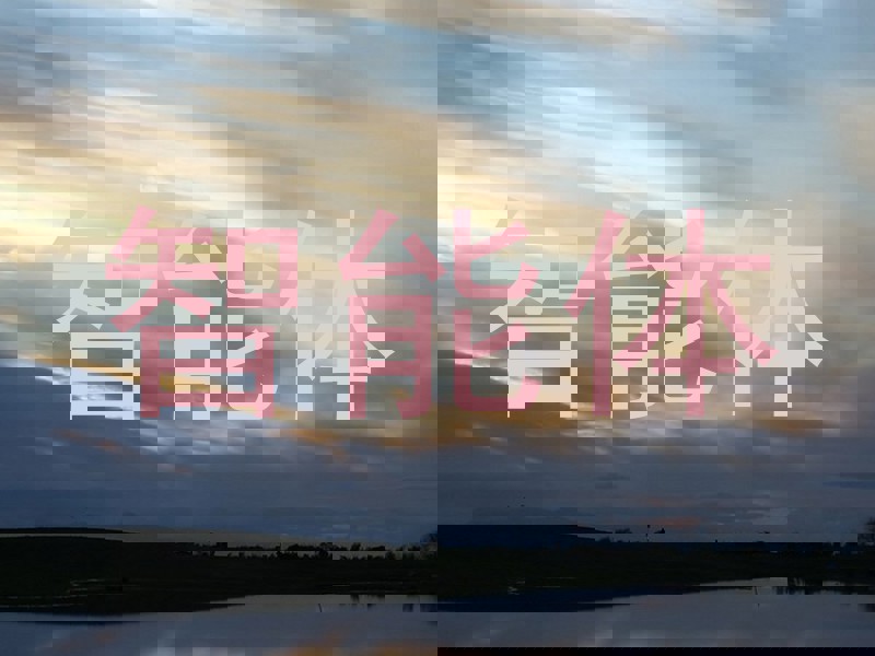 校园智能体系统