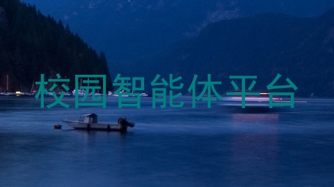 校园智能体平台