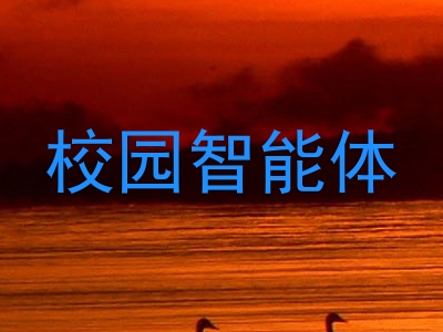 校园智能体