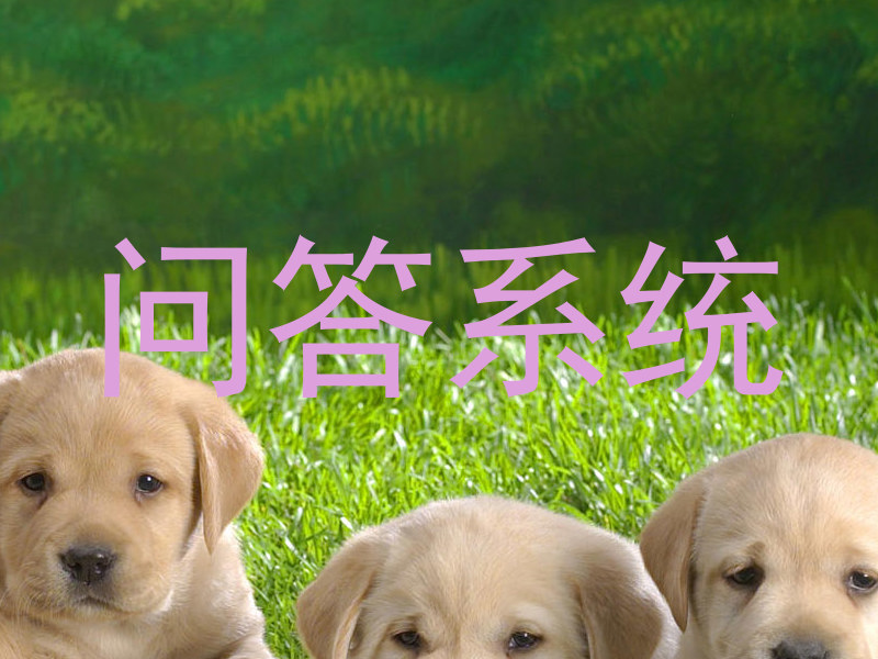 校园问答机器人