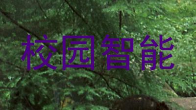 校园智能
