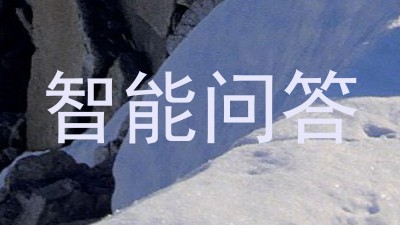 智能问答
