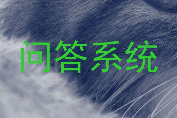 问答系统