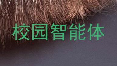 校园智能体