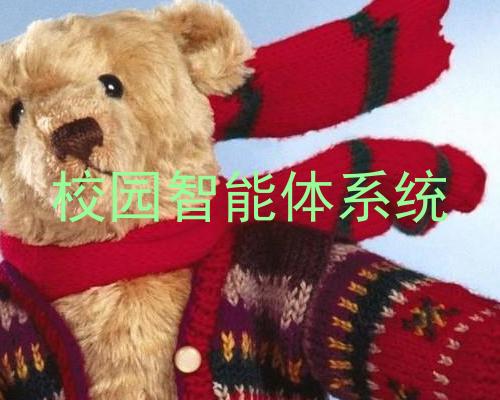 校园智能体系统