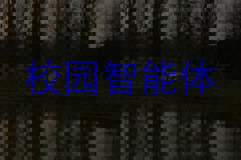 校园智能体