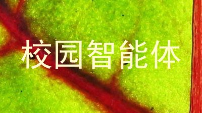 校园智能体