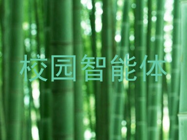 校园智能体