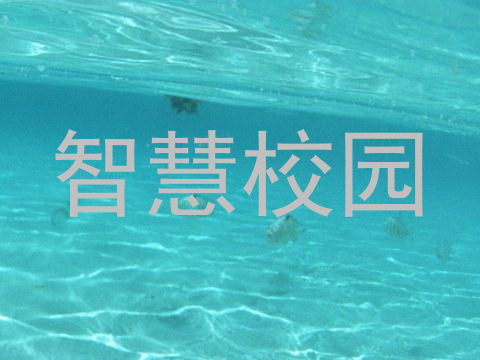 智慧校园
