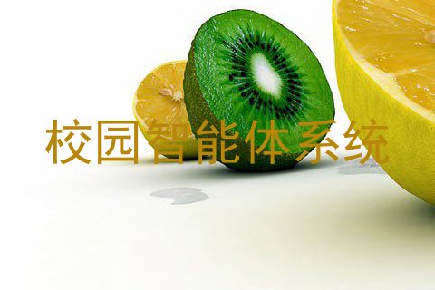 校园智能体系统