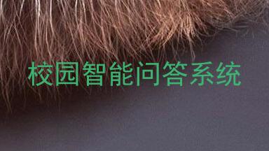 校园智能问答系统