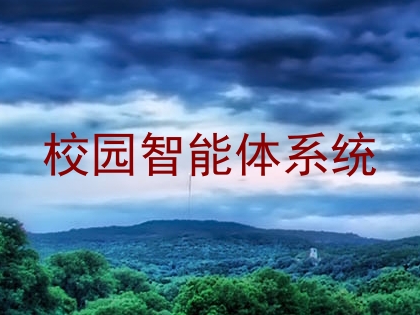 校园智能体系统