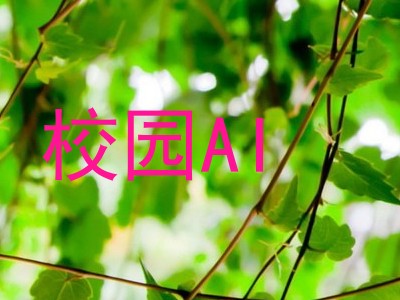 校园AI