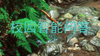 校园智能问答