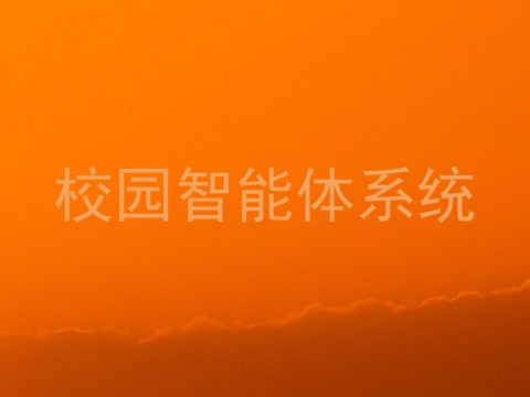 校园智能体系统