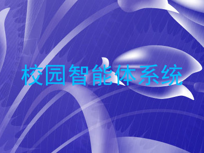 校园智能体系统
