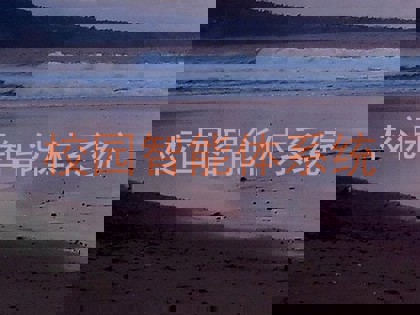 校园智能体系统