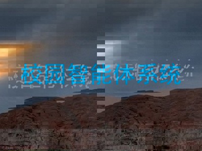 校园智能体系统