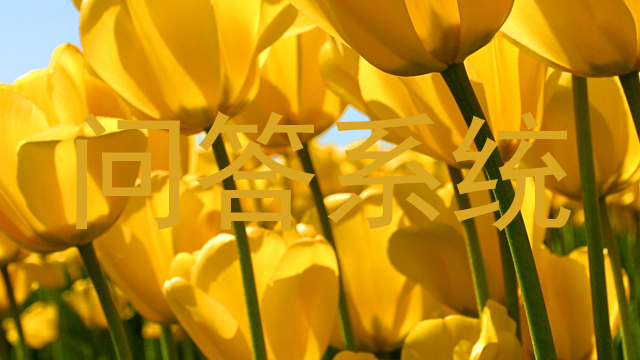 校园智能问答系统