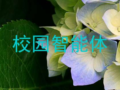 校园智能体