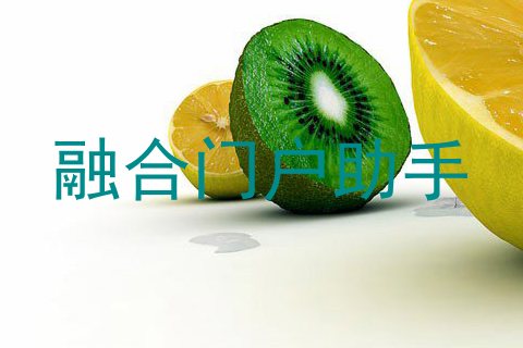 融合门户助手